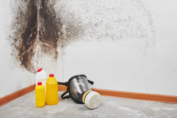 Water Damage Restoration in Wadley, GA
