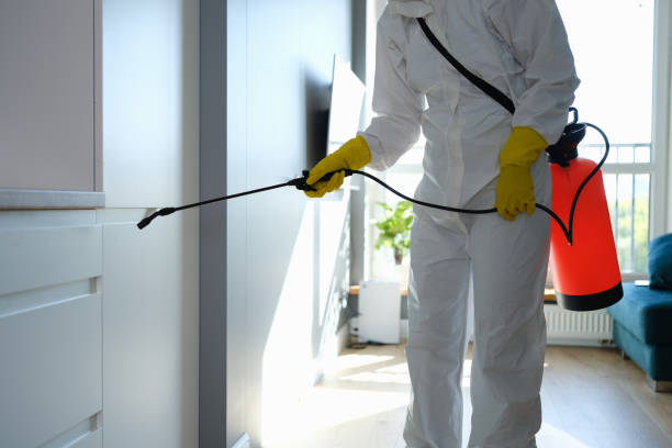Best Fast Mold Removal  in Wadley, GA
